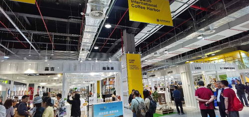 高質量發展調研行丨黑科技產品大秀場與進博會溢出效應下的房地產開發經營新機遇